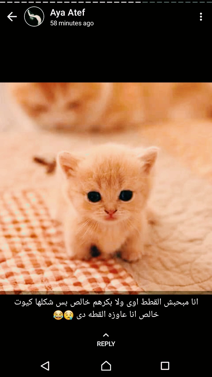 Cute