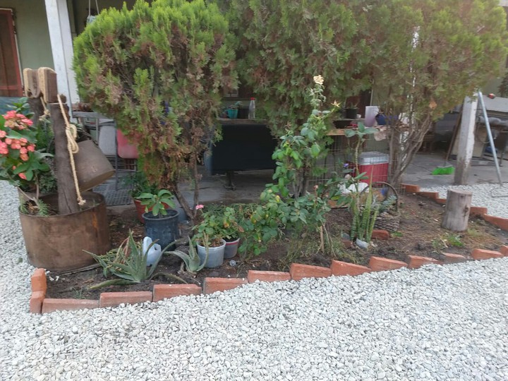 jardin