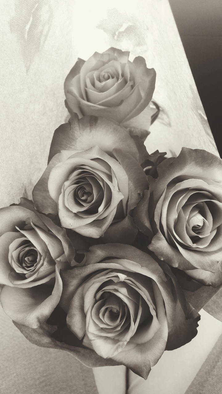 Roses