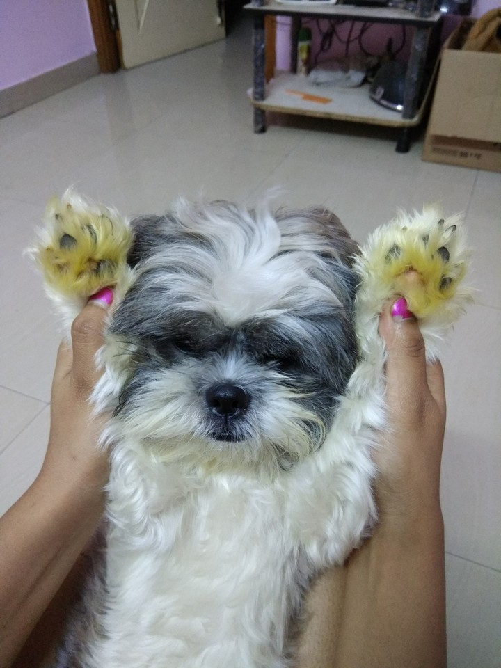 Happy Feet