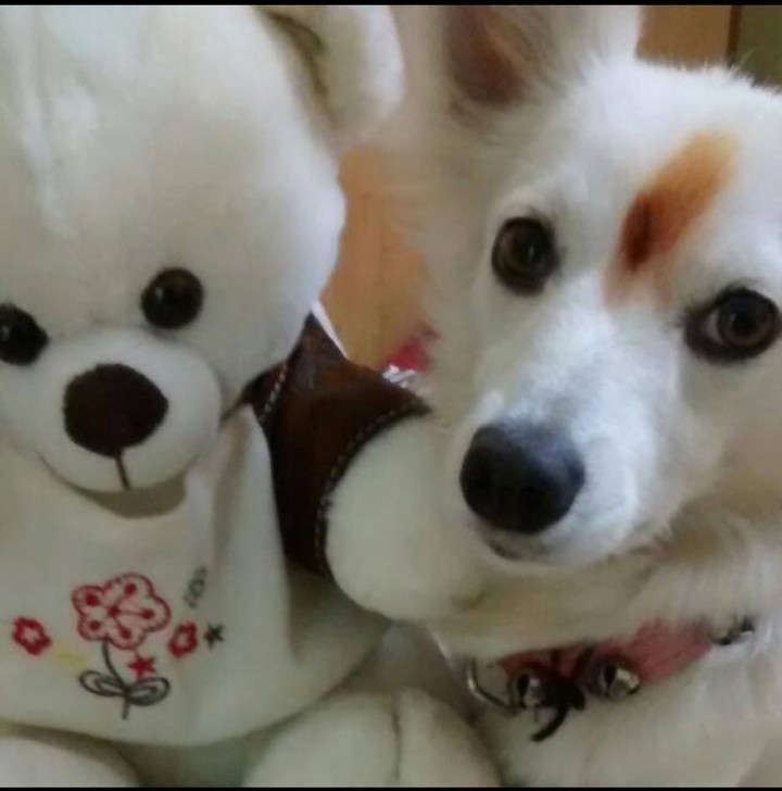 cute