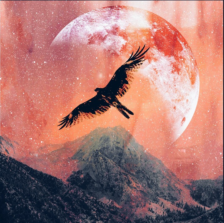 Soaring