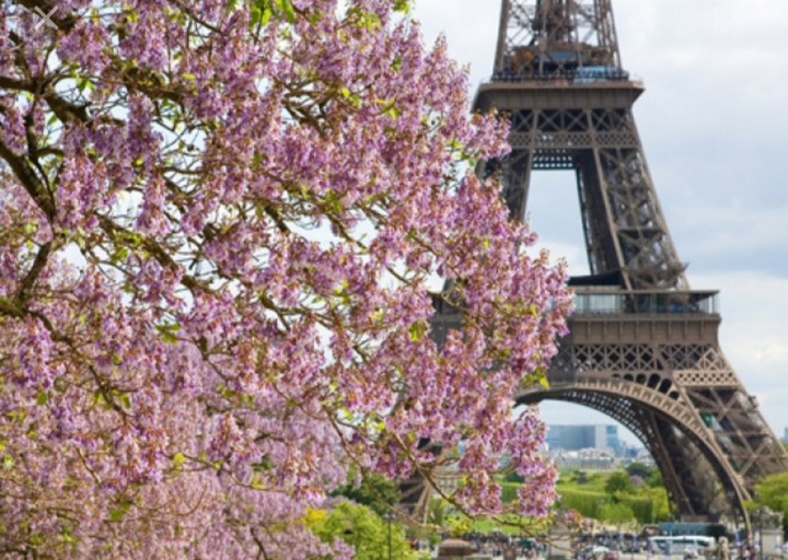 Spring