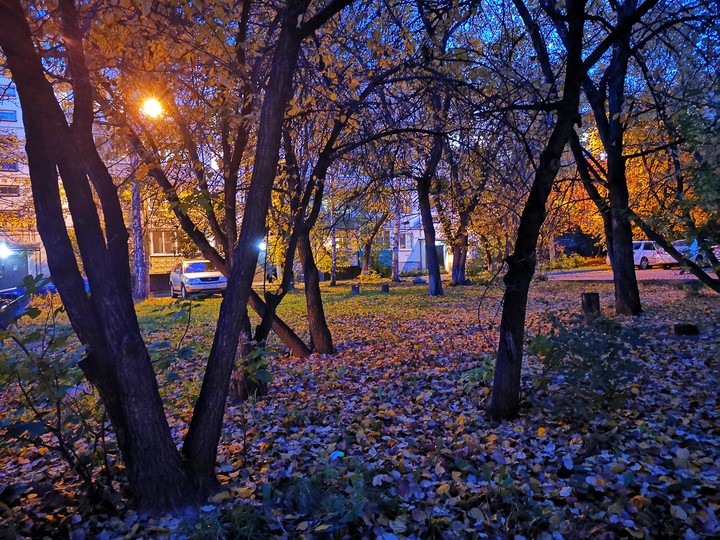Autumn in Siberia