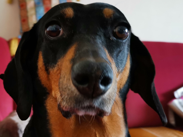 hundi