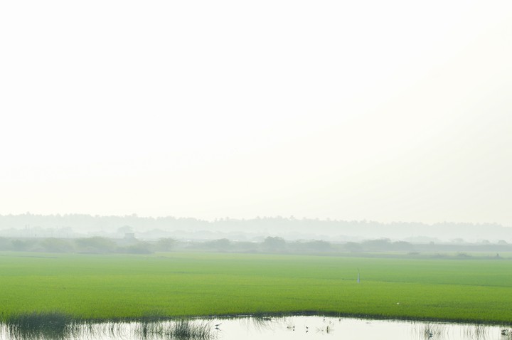 nature