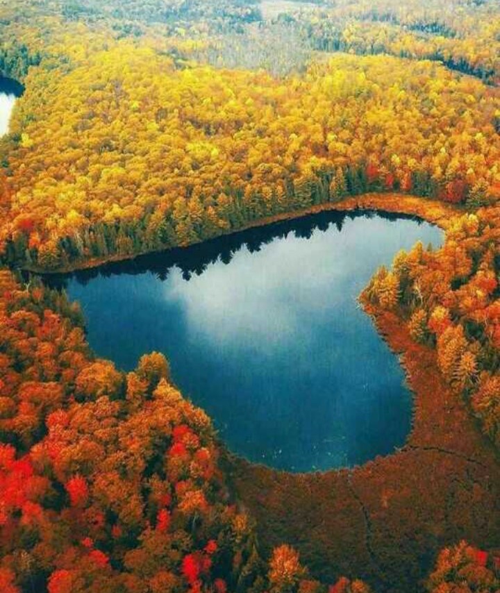 beautiful heart shape lake