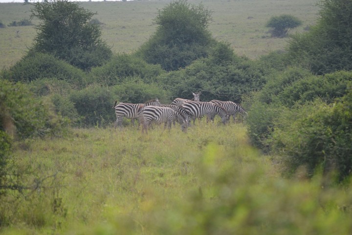 Kenya