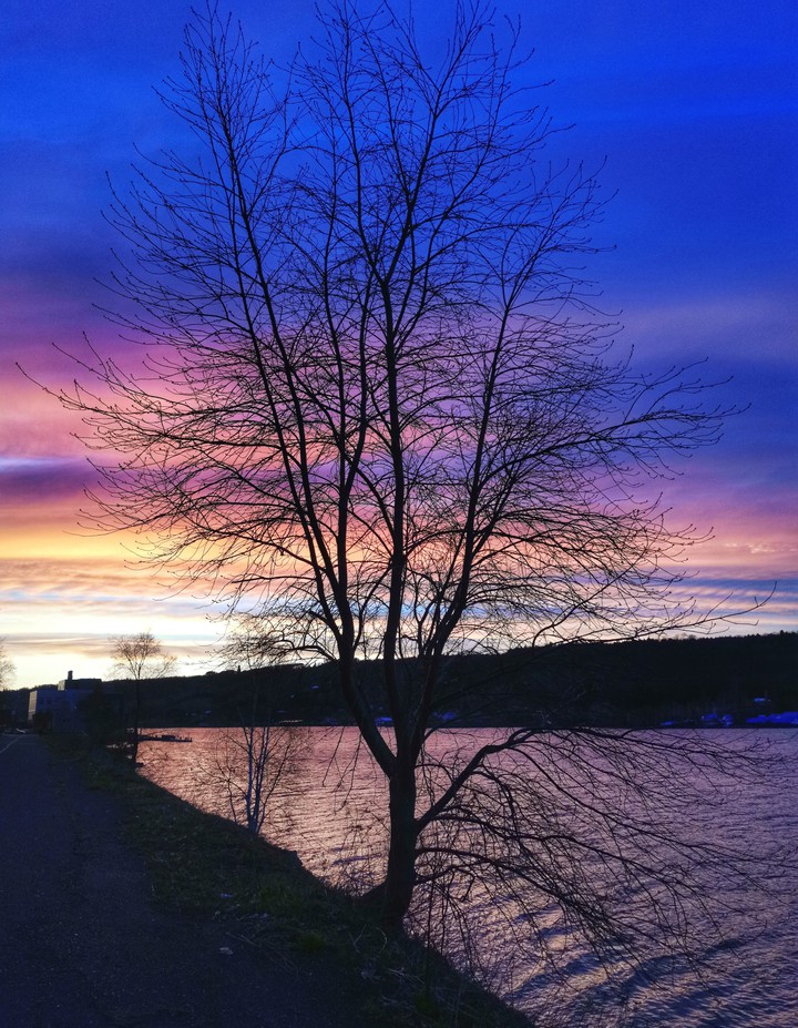 when the colors pop...