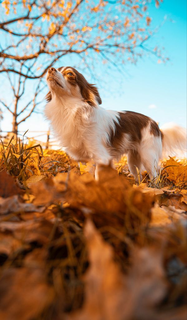 cute ?