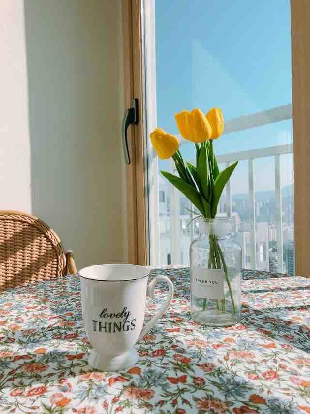 노랑꽃
