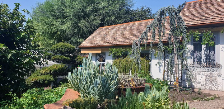 Magic home ?