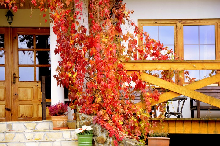 Autumn