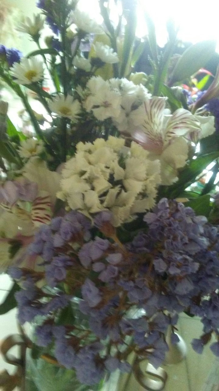 new week new flowers