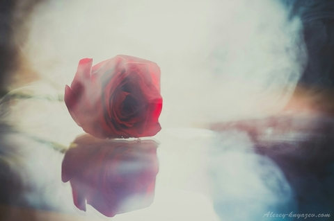 rose in smoke