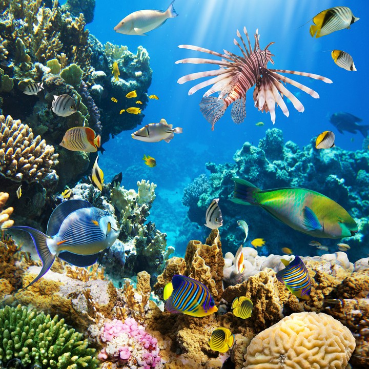 Under Water_2