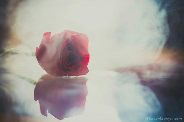 rose in smoke