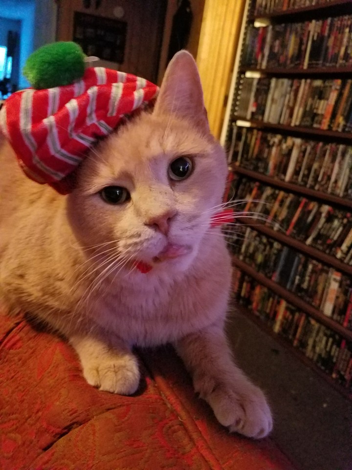 Bubba at Yule
