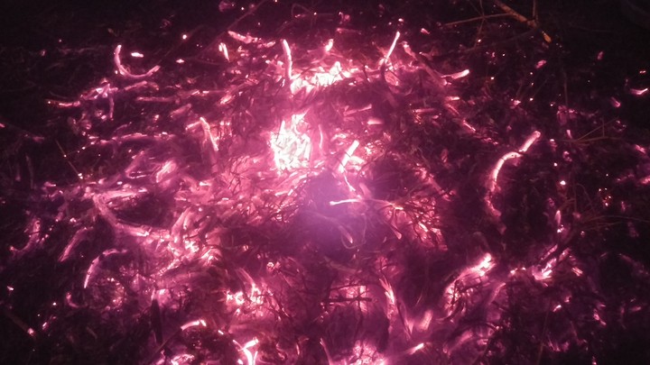 fire light ash