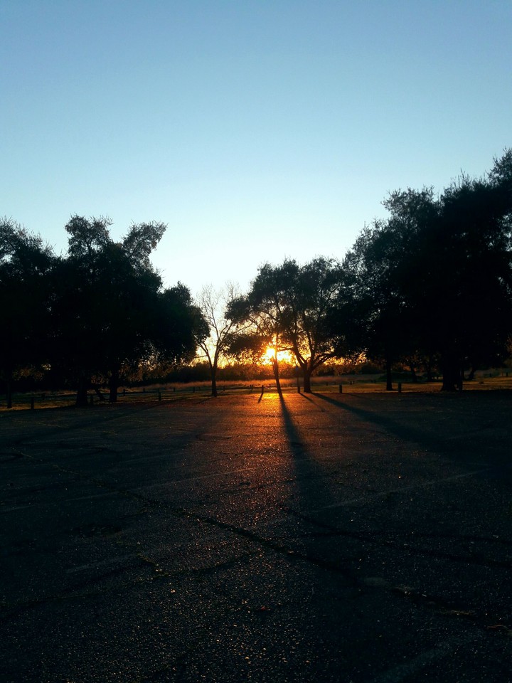 sunset