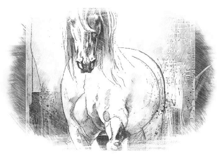 horse