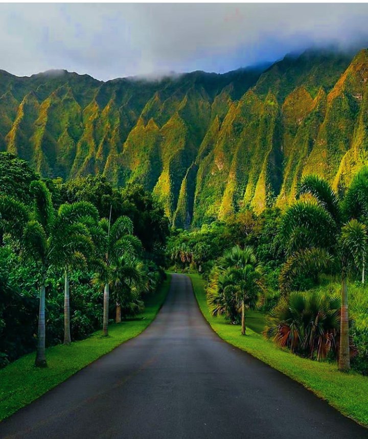 Long drive lovely place