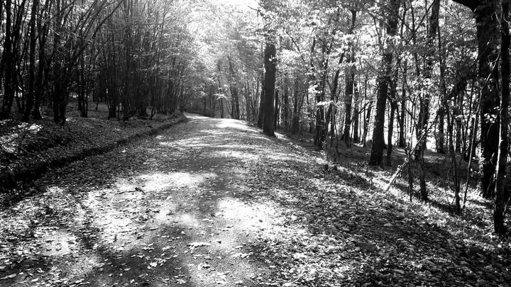 un chemin se campagne.