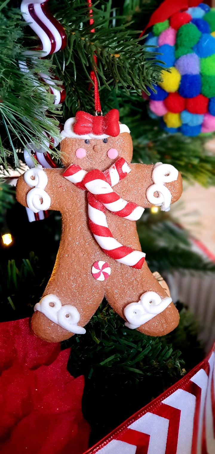 Christmas Ginger Breadman