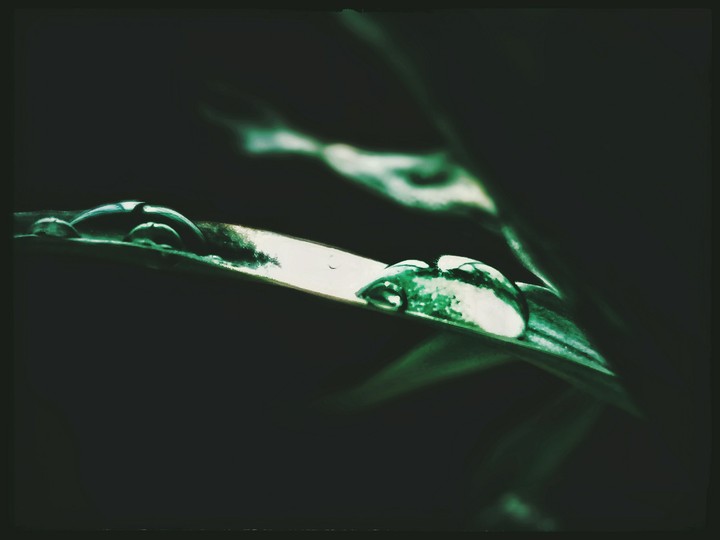 macro droplet