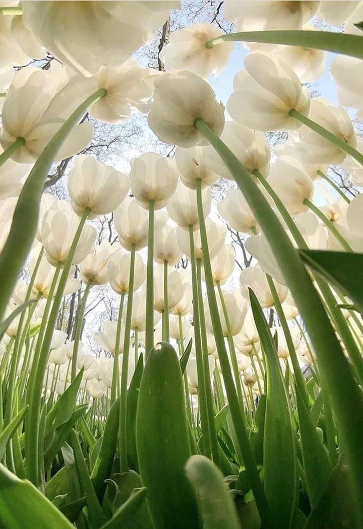 Towards spring