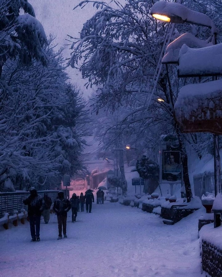 Murre Pakistan