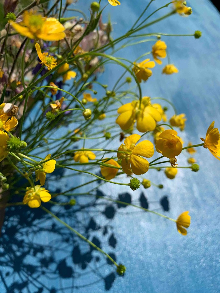flowers