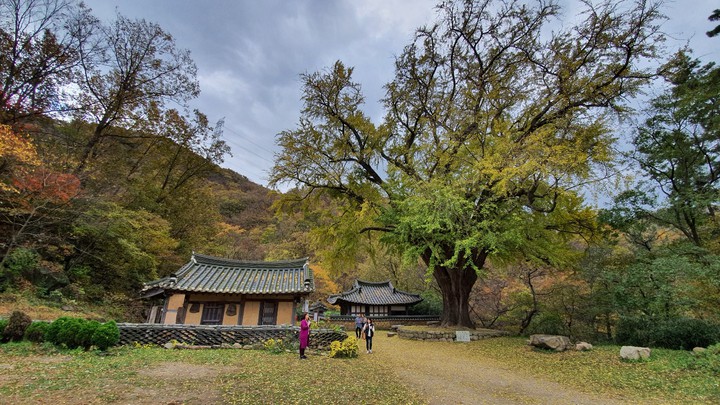 산속의 절