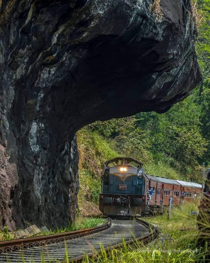Train ?