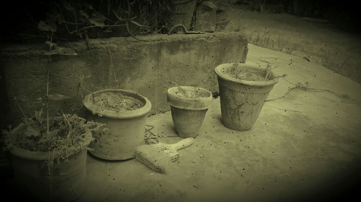 Flower pots