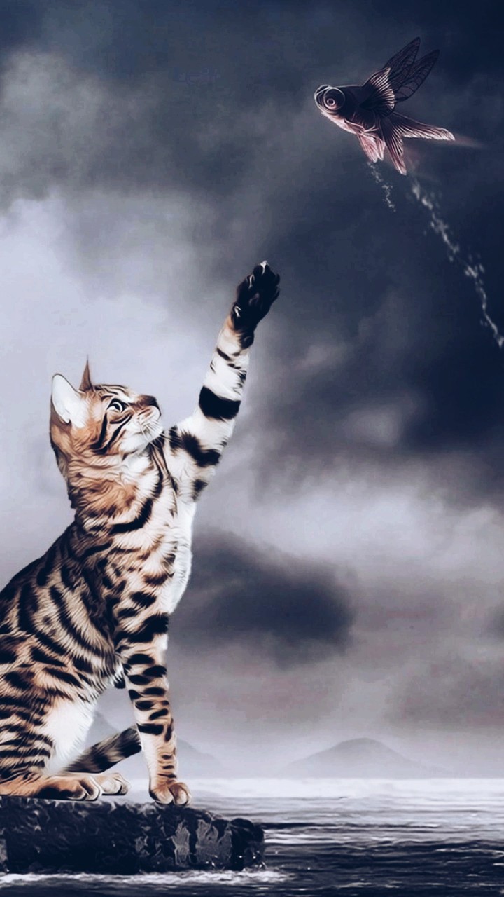 The Hungry Cat....