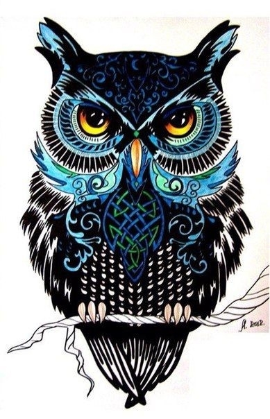 Owl