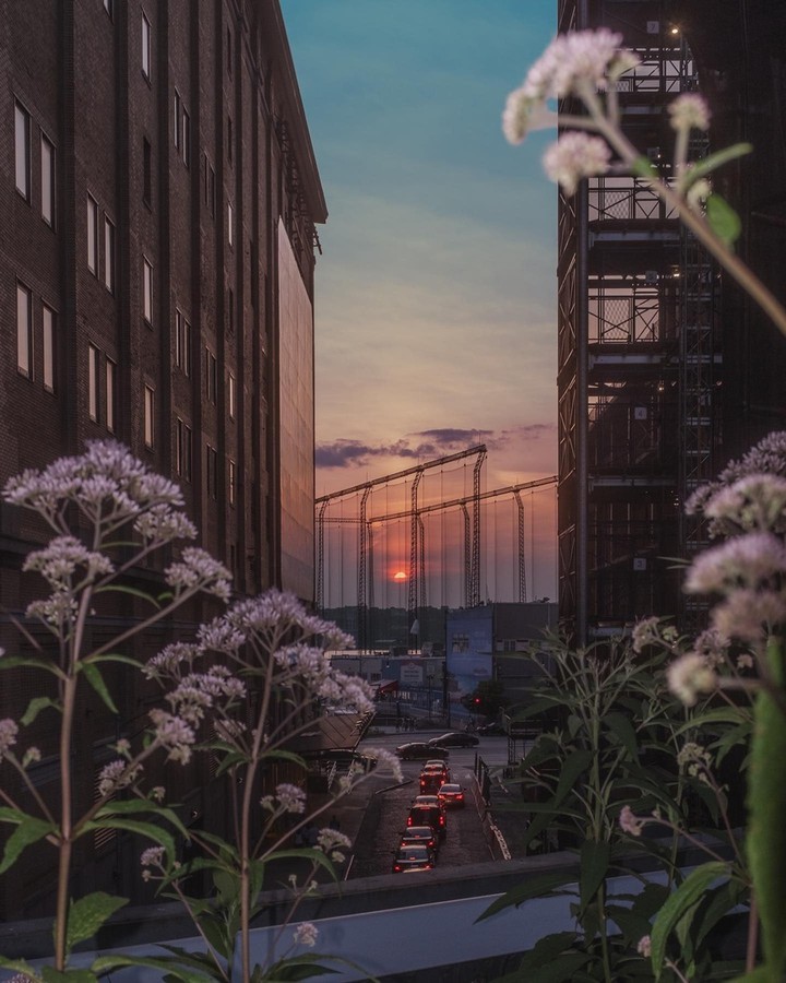 Sky