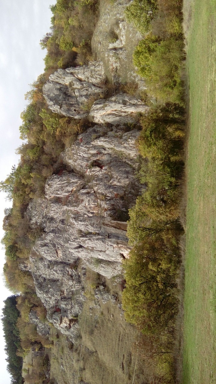 walls