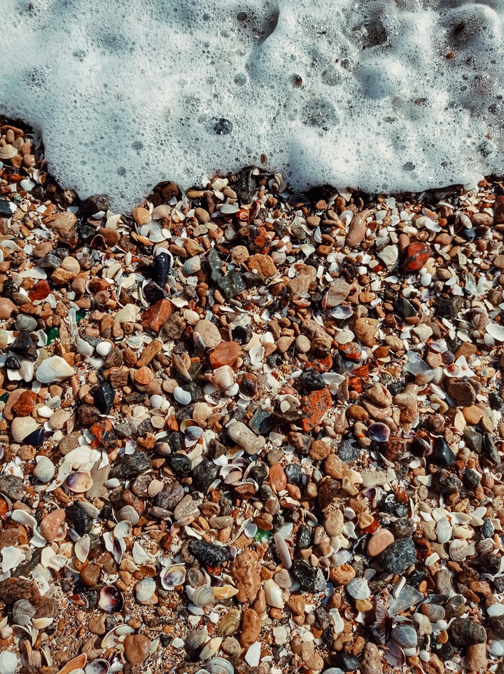 sea