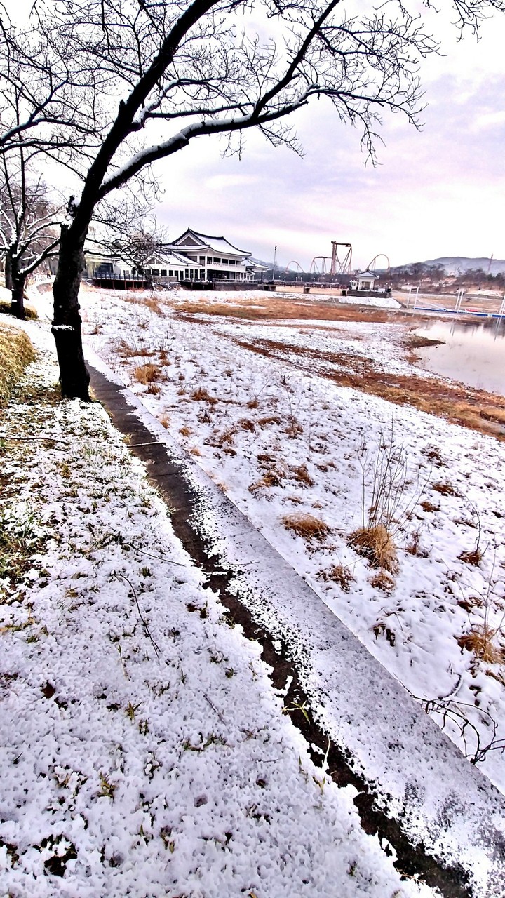 雪景