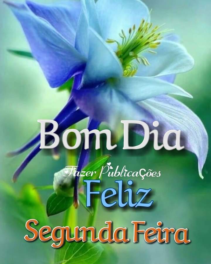 Aos meus amigos queridos ?.