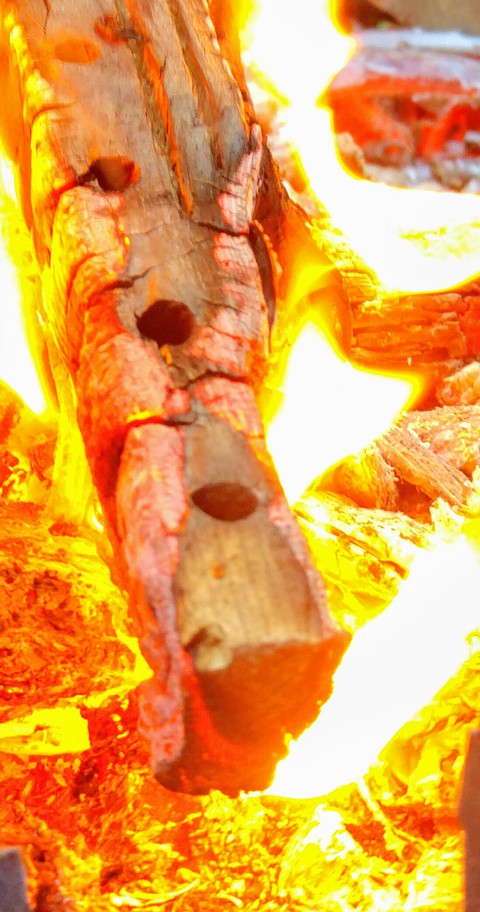 fire flame