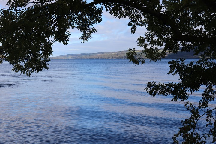 Le Loch Ness vue sous un arbre