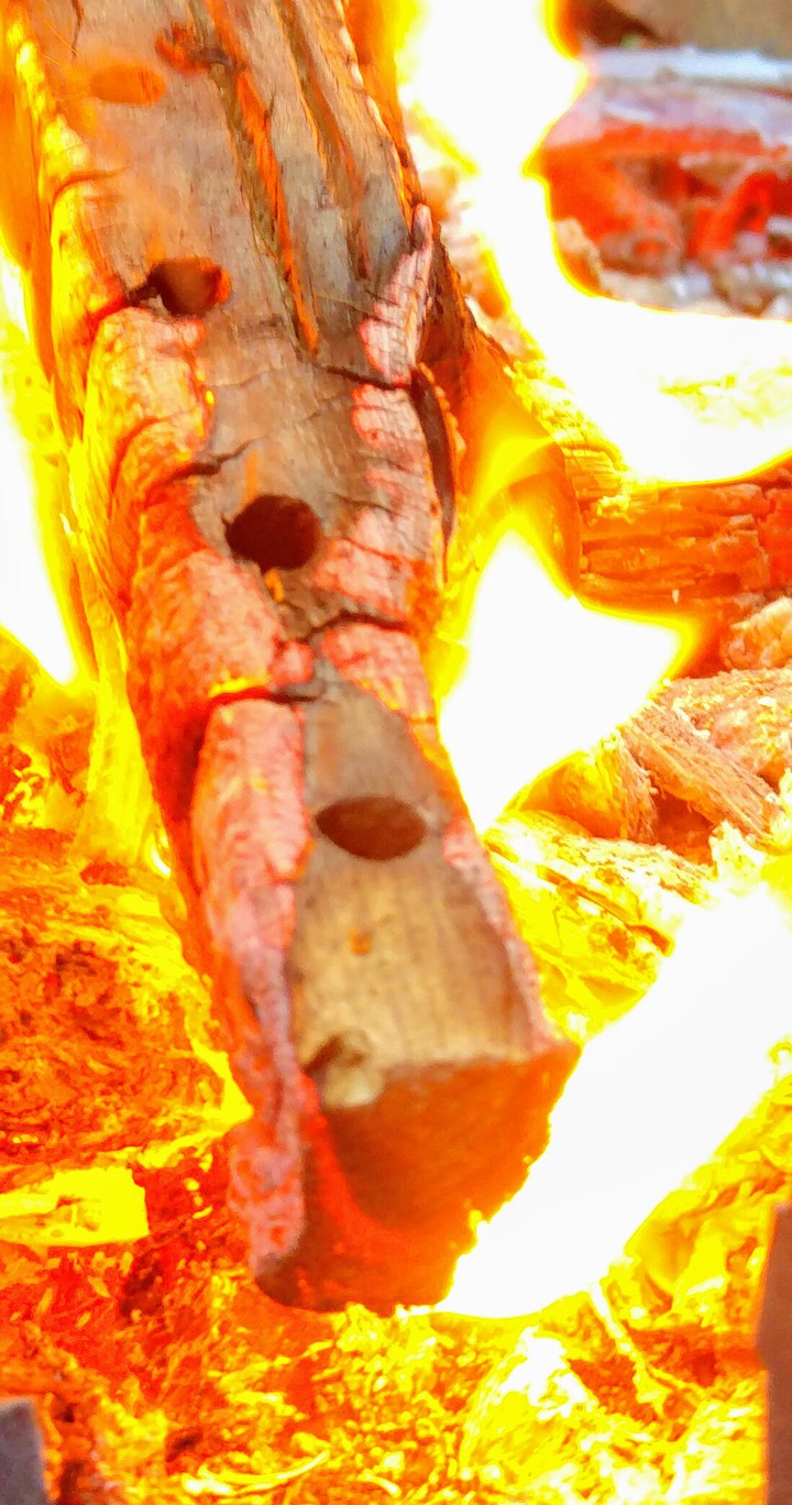 fire flame