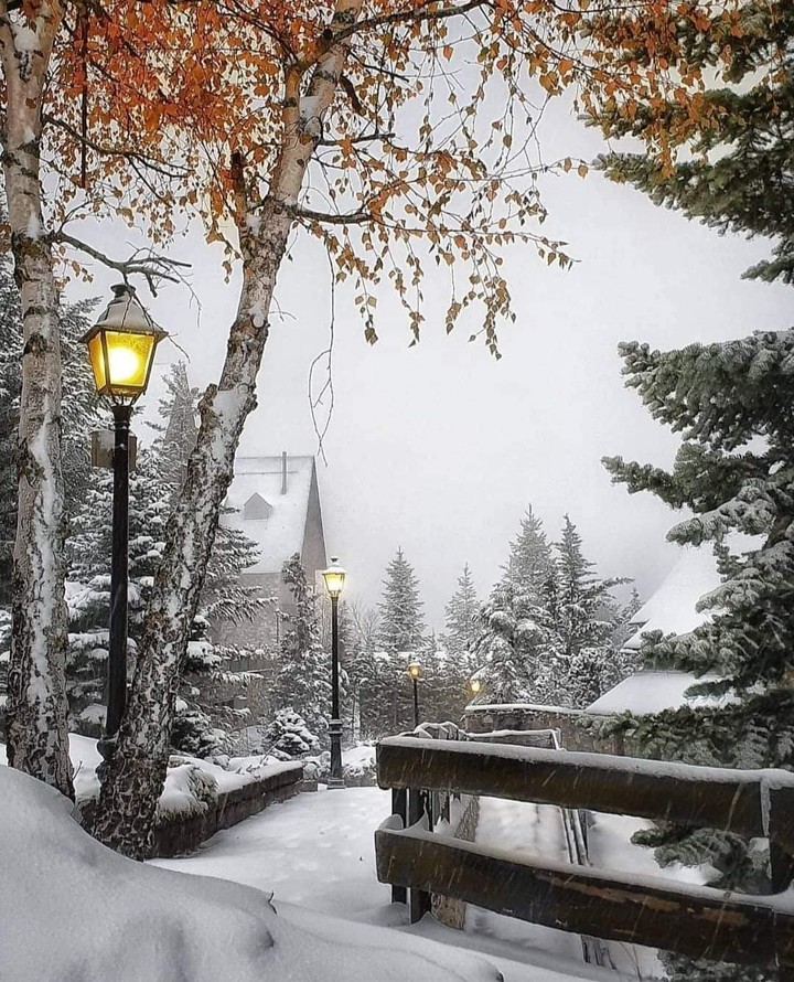 winter