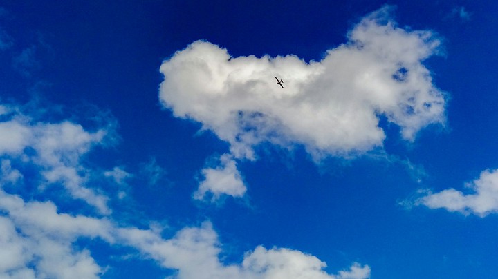 Plane