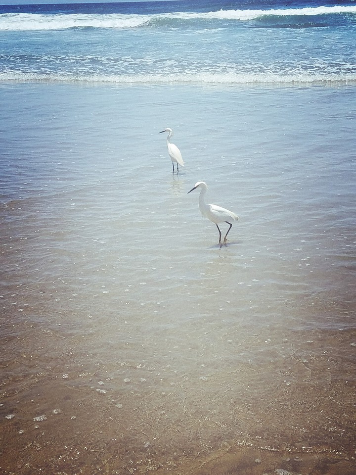 beach