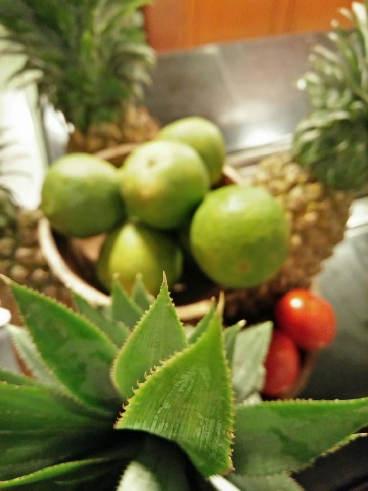Fruits