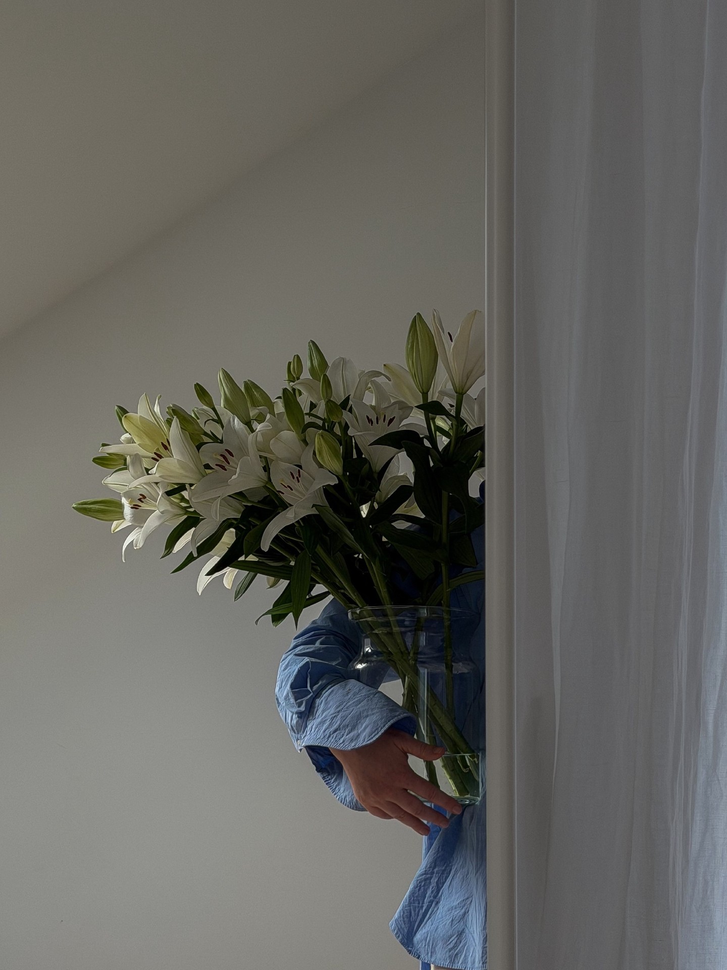 petal, floristry Hintergrundbilder